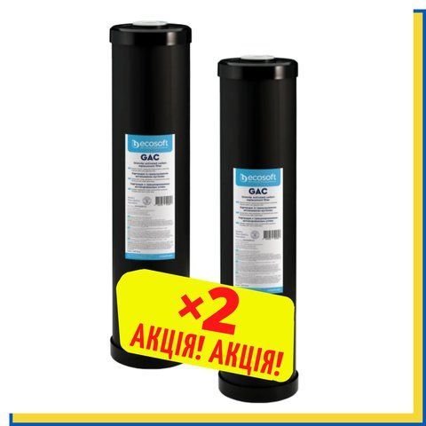 Ecosoft GAC 4,5"х20" Картридж ВВ20 з гранульованим активованим вугіллям CHV4520ECO (2 шт.) CHV4520ECO фото